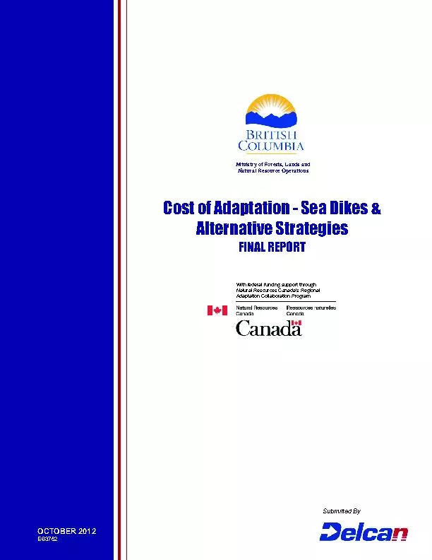 Cost of Adaptation - Sea Dikes and alternative strategies final report