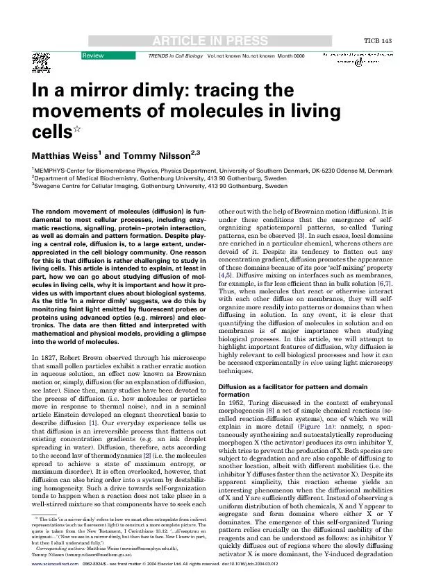 In a mirror dimly tracing the movements of molecules in living cells