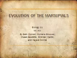 Evolution of the Marsupials