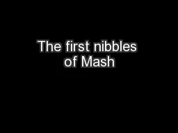 The first nibbles of Mash