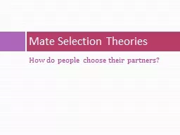 How do people choose their partners?