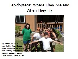 Lepidoptera: Where They Are and When They Fly