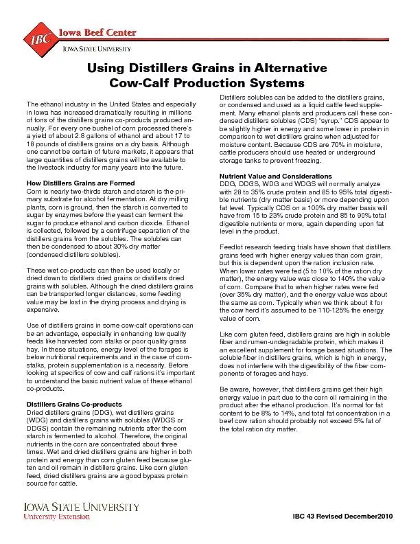Using distillers grains in alternative cow calf production systems