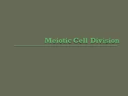 Meiotic Cell Division