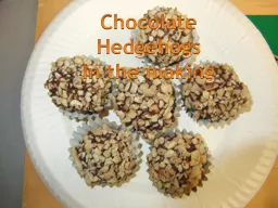 Chocolate Hedgehogs