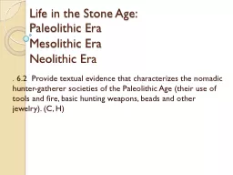 Life in the Stone Age: