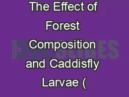 The Effect of Forest Composition and Caddisfly Larvae (