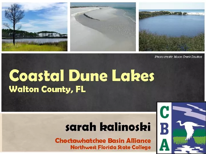 Coastal Dune Lakes