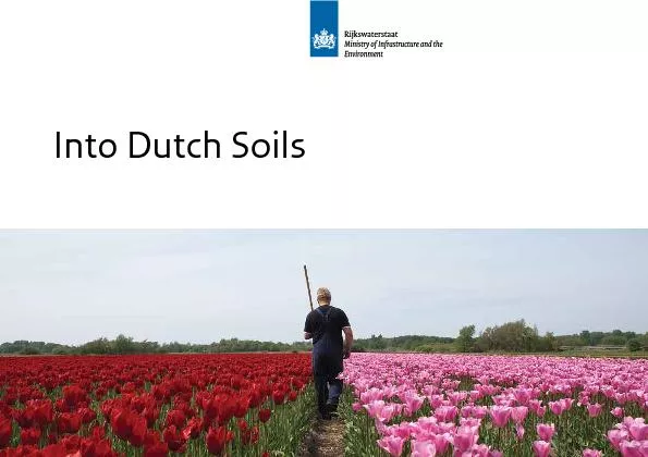 Into Dutch Soils