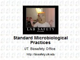 Standard Microbiological Practices
