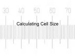 Calculating Cell Size