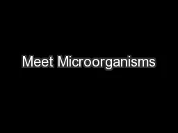 Meet Microorganisms