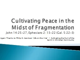 Cultivating Peace in the Midst of Fragmentation