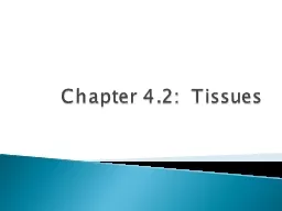 Chapter 4.2:  Tissues
