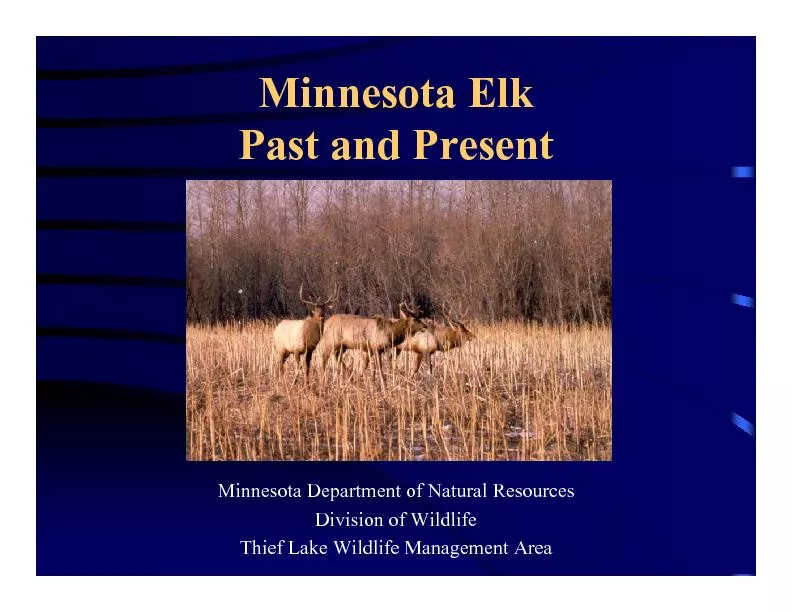 Minnesota ElkPast and PresentMinnesota Department of Natural Resources