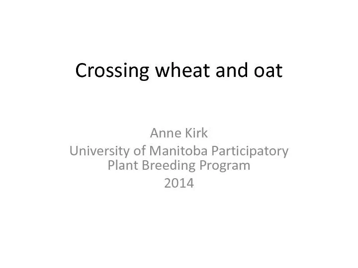Crossing wheat and oat