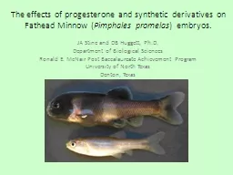 The effects of progesterone and synthetic derivatives on Fa