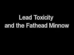 Lead Toxicity and the Fathead Minnow