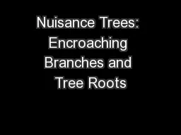 Nuisance Trees: Encroaching Branches and Tree Roots