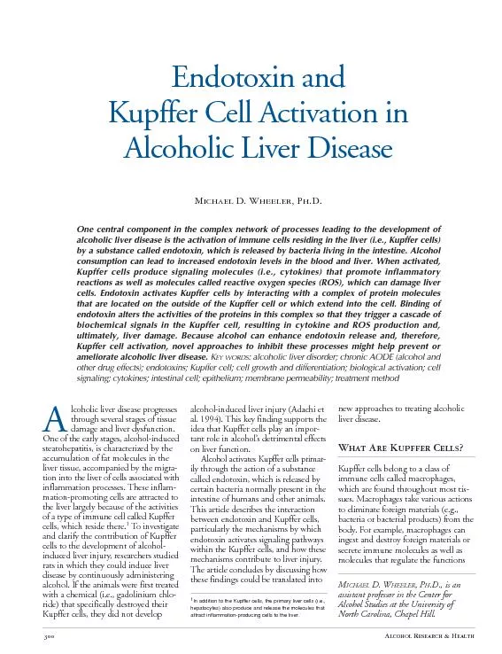 ndotoxin and upffer Cell Activation inAlcoholic Liver Disease
...