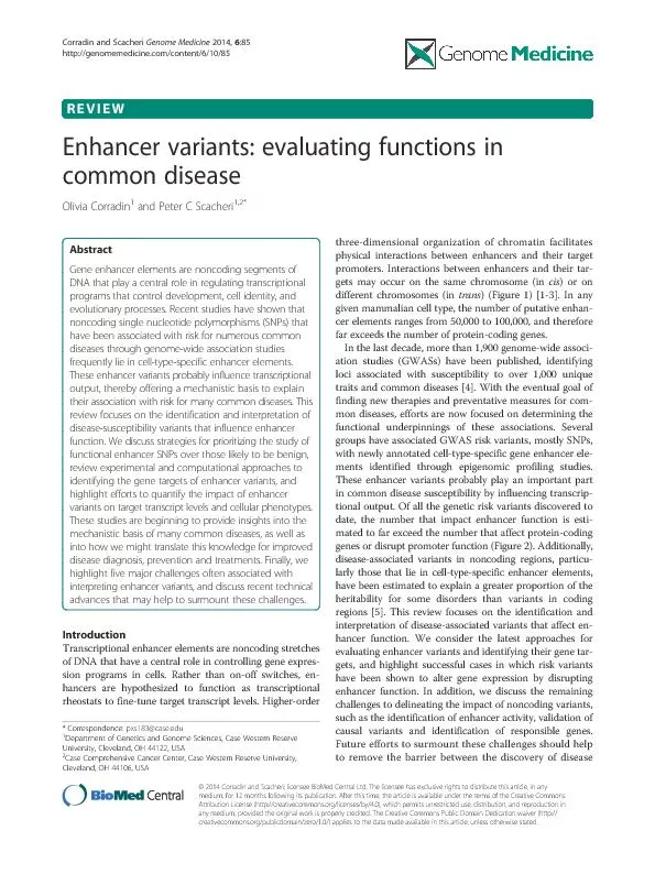 Enhancervariants:evaluatingfunctionsin