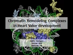 Chromatin Remodeling Complexes in Heart Valve development