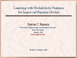 Learning with Probabilistic Features