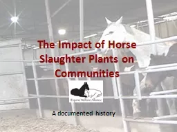The Impact of Horse Slaughter Plants on Communities
