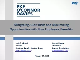 Mitigating Audit Risks and Maximizing Opportunities with Yo