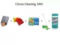 Clorox Cleaning Mitt