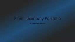 Plant Taxonomy Portfolio