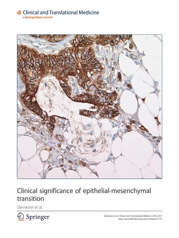 Clinicalsignificanceofepithelial-mesenchymal