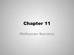 Chapter 11