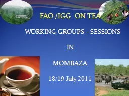 FAO /IGG  ON TEA