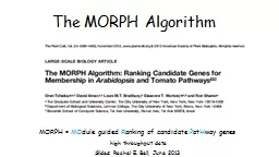 The MORPH Algorithm