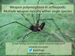Weapon polymorphism in