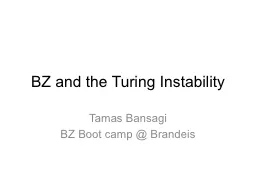 BZ and the Turing Instability