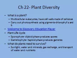 Ch 22- Plant Diversity