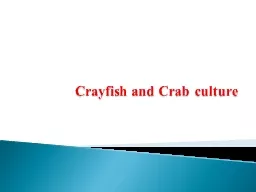 Crayfish and Crab culture
