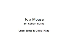 To a Mouse