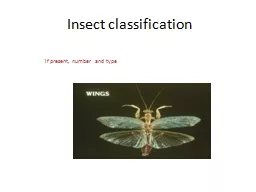 Insect classification