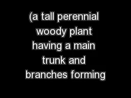 (a tall perennial woody plant having a main trunk and branches forming