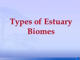Types of Estuary Biomes