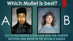 Which Mullet is best?