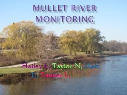 Mullet River Monitoring