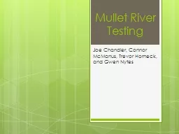 Mullet River Testing