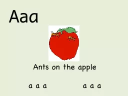 Ants on the apple