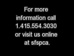 For more information call 1.415.554.3030 or visit us online at sfspca.