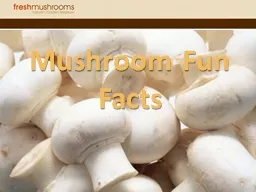 Mushroom Fun Facts