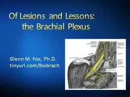 Of Lesions and Lessons: 	the Brachial Plexus